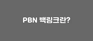 PBN백링크란